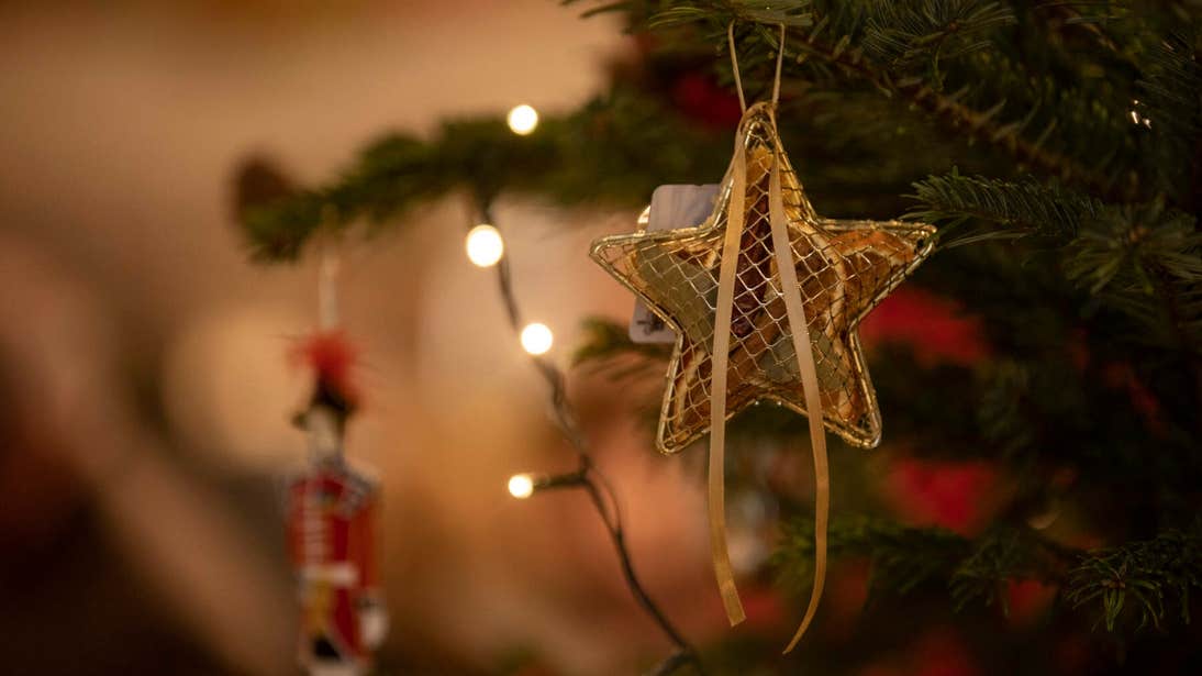 Christmas Decorations at Hillsborough Castle and Gardens, Co. Down
