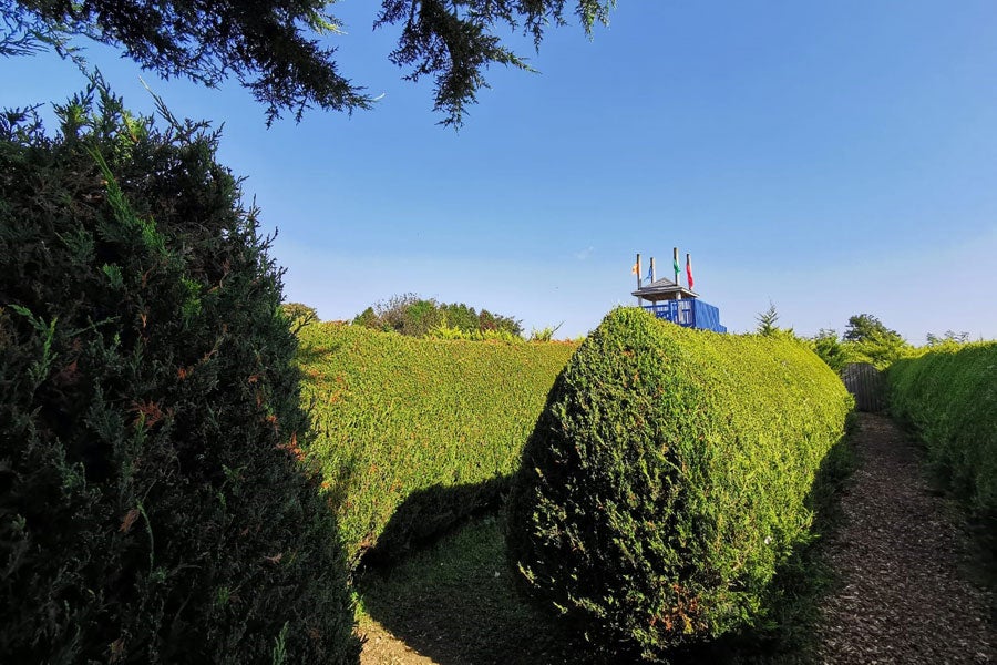 The Kildare Maze