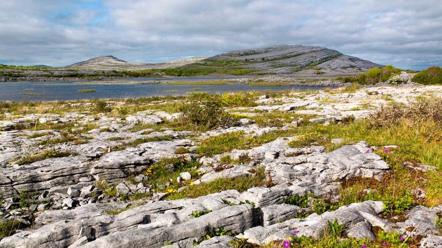 Lunar landscape of Burren, Clare