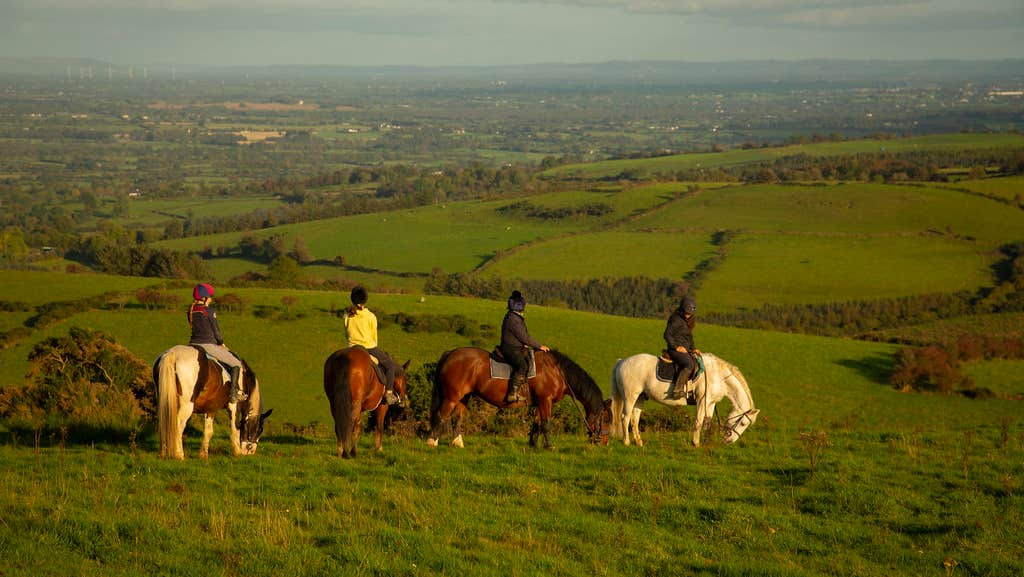 Horses and their riders trekking through countryside with Carrowholly Stables & Trekking Centre