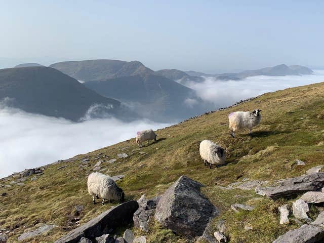 O'Malley Private Tours, Beaufort, Kerry