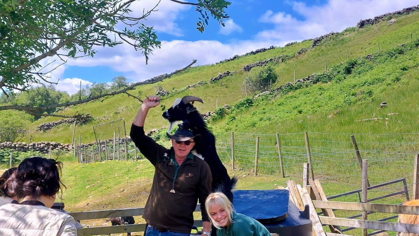 A couple smile at the camera as a goat playfully climbs behind them