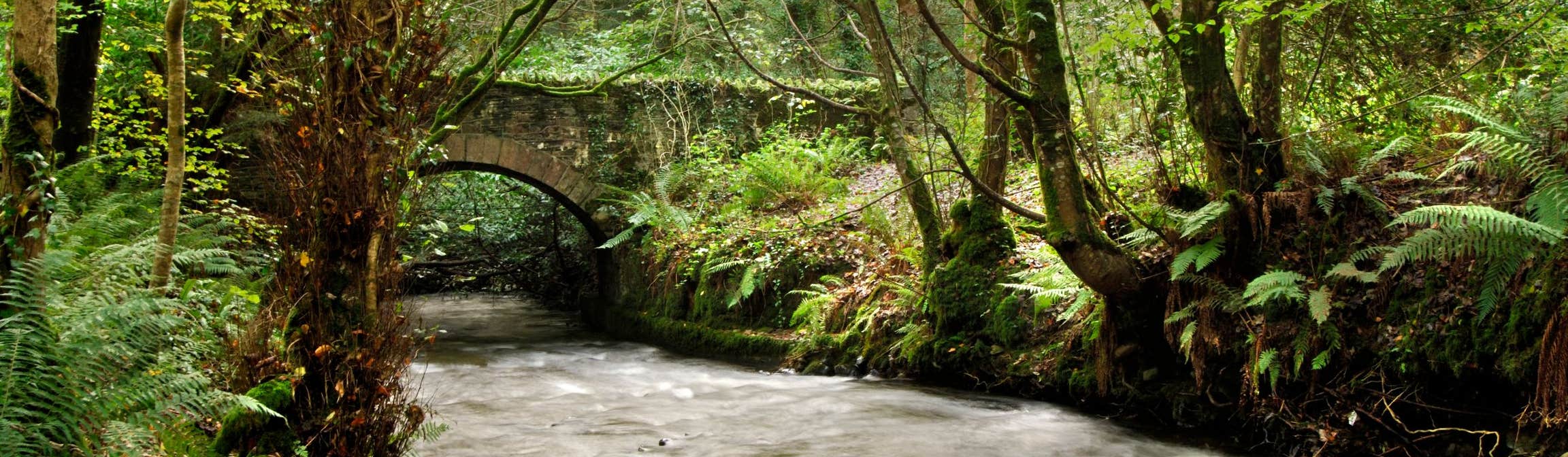 Image of Dun na Rí Forest Park in County Cavan