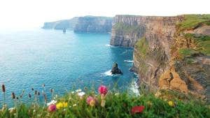 paddywagon_cliffsofmoher