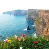 paddywagon_cliffsofmoher