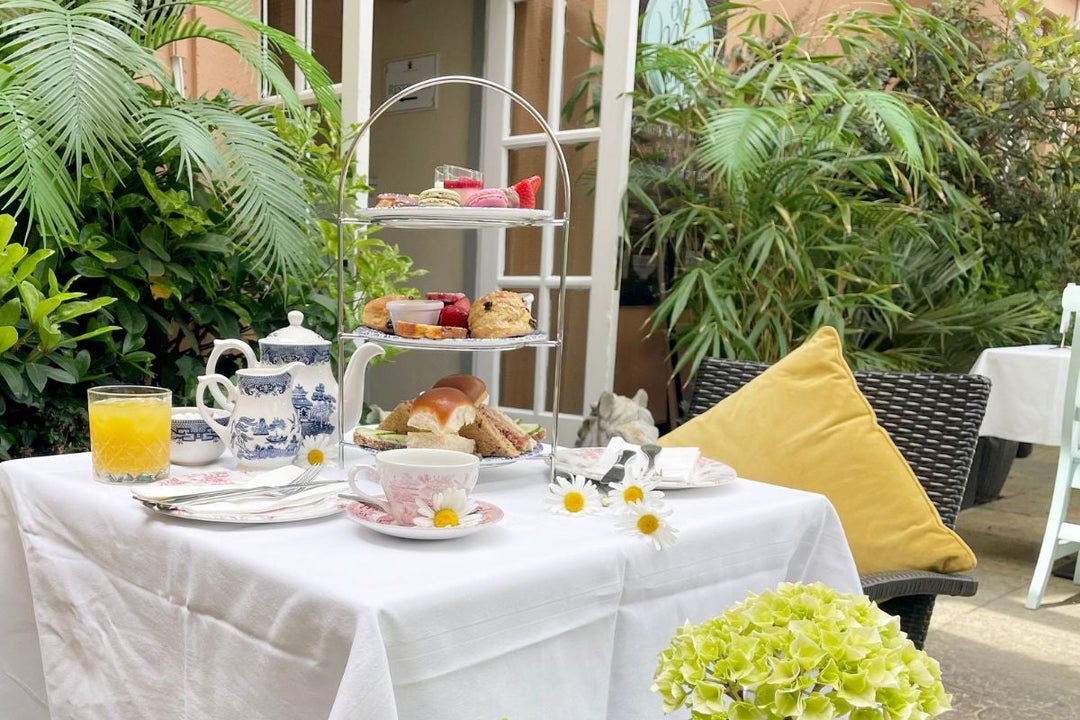 A table surrounded by plants prepared for afternoon tea