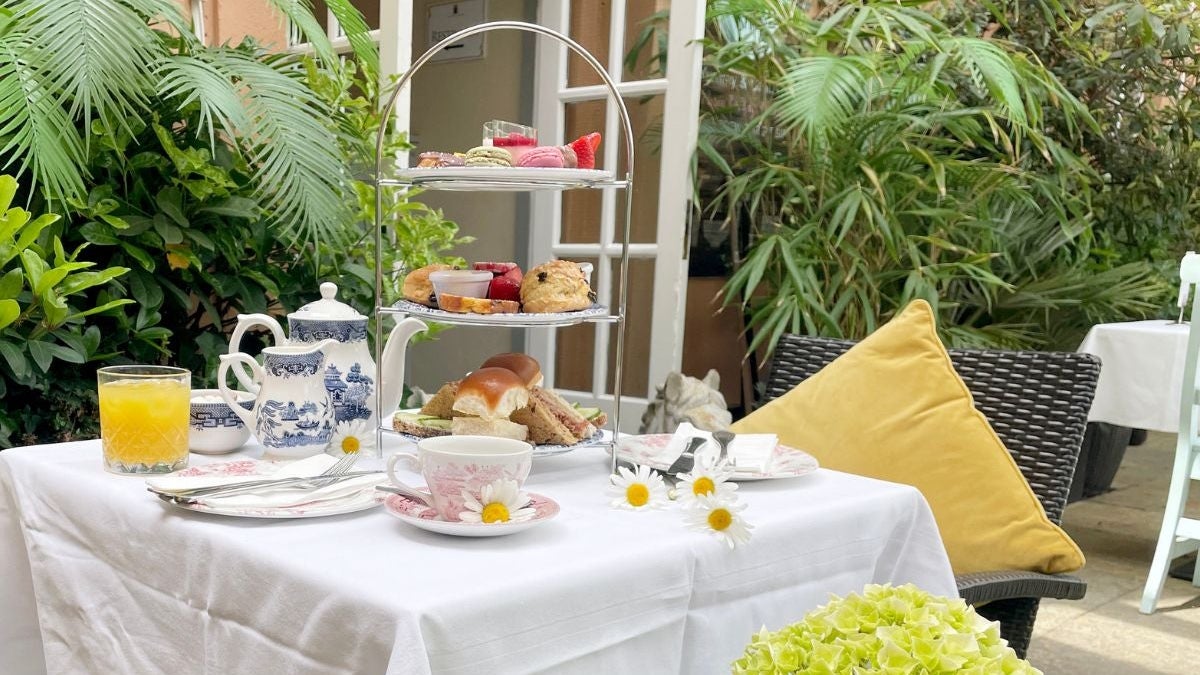 A table surrounded by plants prepared for afternoon tea