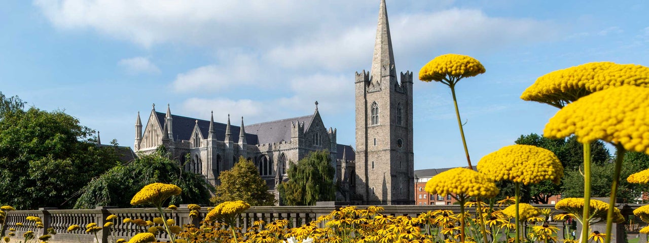 View of St Patrick's Cathedral with some flowers on the front, Dublin City