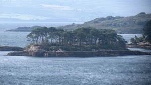 Image from Glengarriff Harbour
