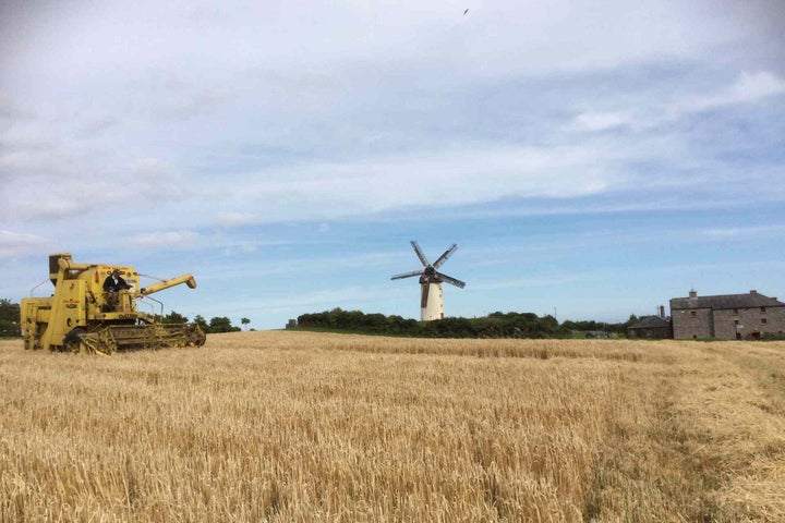 Harvest Time Festival at Skerries Mills