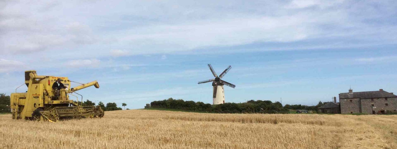 Harvest Time Festival at Skerries Mills