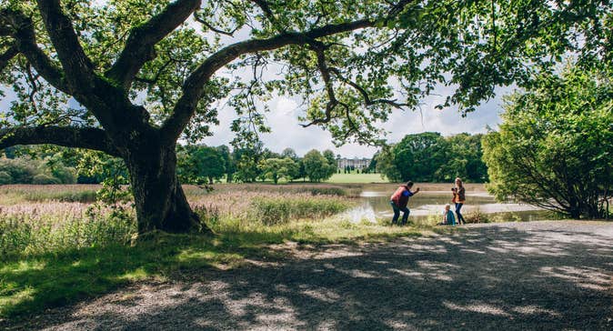 Family playing on the banks of a lake at Emo Court in Laois