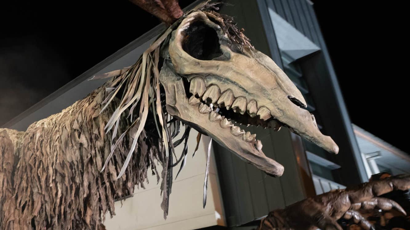 Púca Festival 2025 - Púca Procession, a large puppet of a creature with big teethed skull and brown, shaggy body.