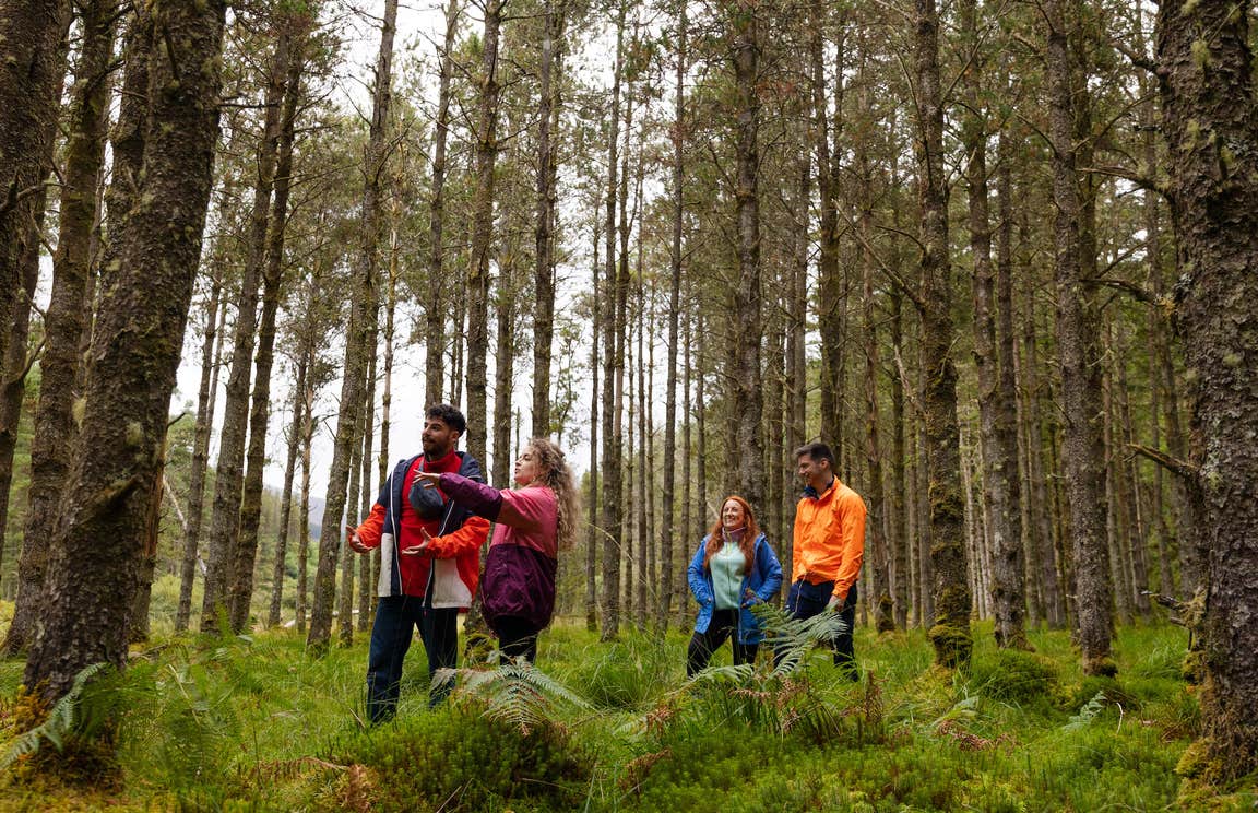 Four people walking in a forest
