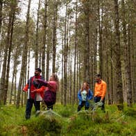 Four people walking in a forest