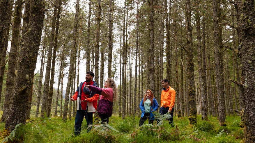 Four people walking in a forest