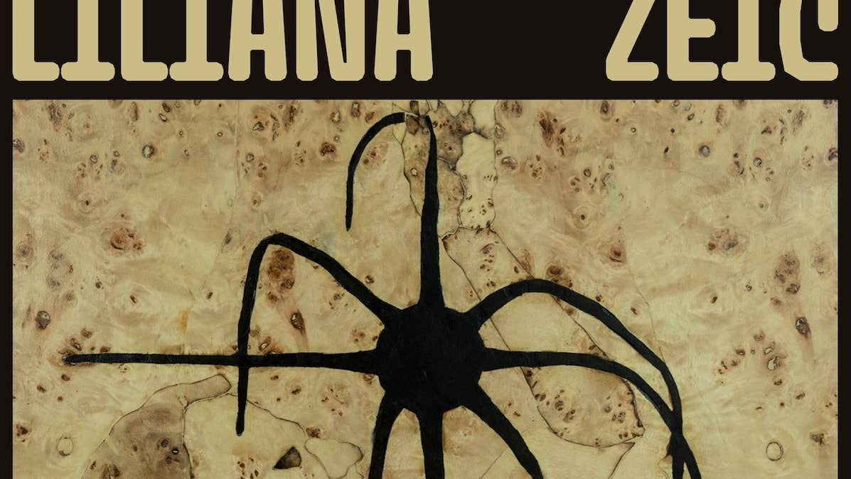 Eating the Sun, Liliana Zeic