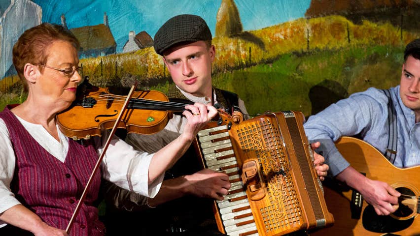 Traditional Irish Night at Bunratty Folk Park musicians