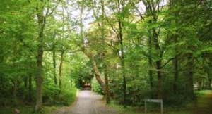 Coole Park Visitor Centre & Gardens