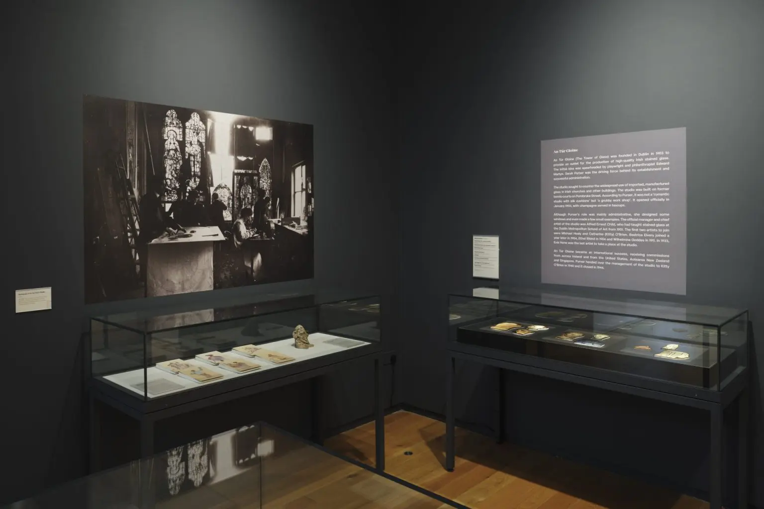 A dark walled room with display cabinets and information posters.