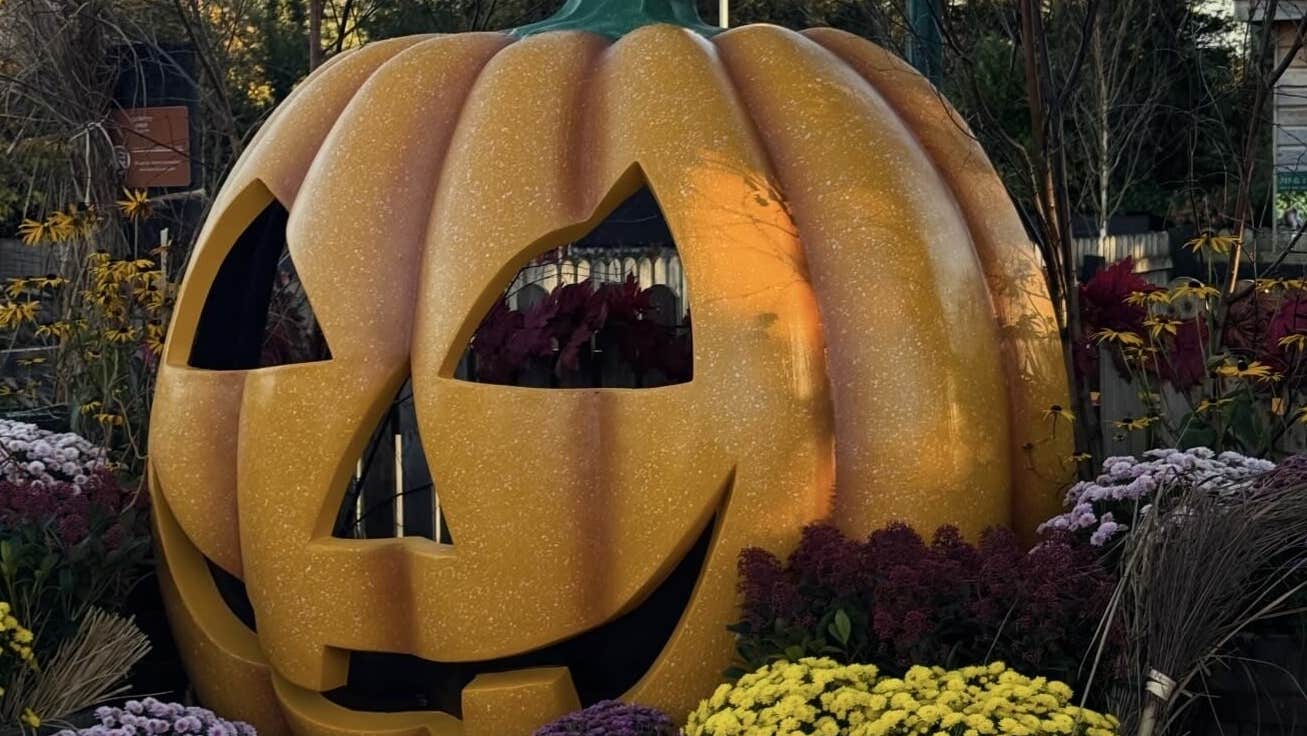 Picture of large pumpkin display