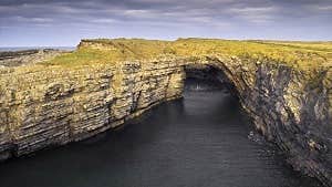 Birdwatching at the Bridges of Ross