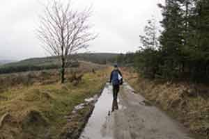 Windfarm Loop