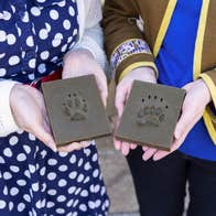 Footprints from the handling collection