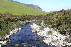 Walkabout Wicklow - Guided Walks and Tours in Ireland