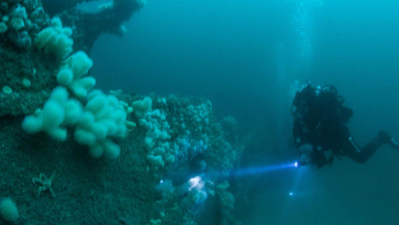 Diver underwater with a torch exploring a reef