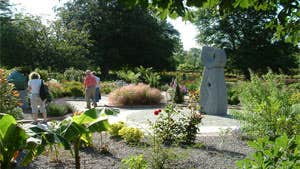 Garden of the Senses