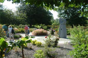 Garden of the Senses, Tralee, Kerry