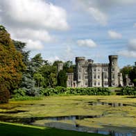 Majestic trees and a blue sky at Johnstown Castle Estate, County Wexford 