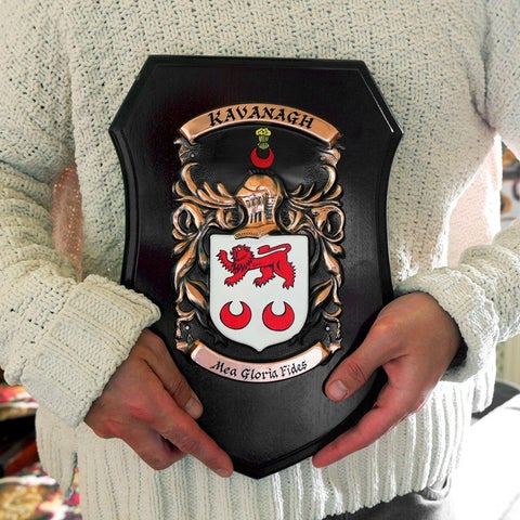 Someone in a knitted sweater holding a coat of arms plaque