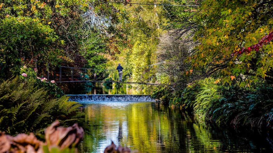 Experience the beauty of Mount Usher Gardens in Wicklow.