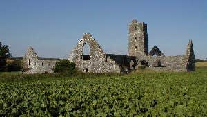 Kilcrea Franciscan Friary