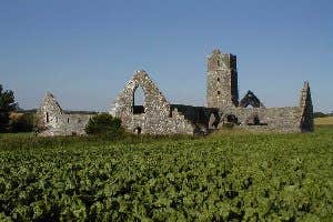 Kilcrea Franciscan Friary, Ovens, Cork