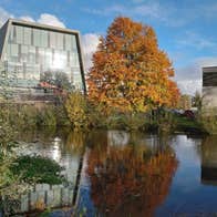 A colourful tree and modern building overlooking a river