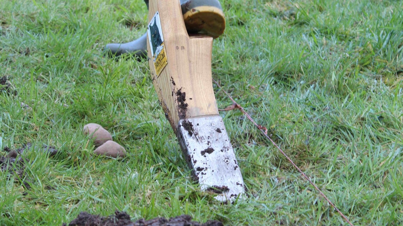 Demonstration of the old tradition of turning the sod with the Loy from Loy Association of Ireland, on Potato day.