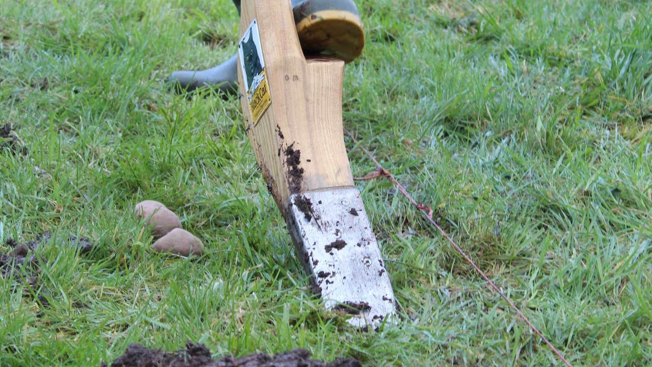 Demonstration of the old tradition of turning the sod with the Loy from Loy Association of Ireland, on Potato day.