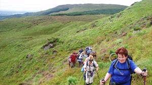 Bluestacks and Lough Eske Walking Tours