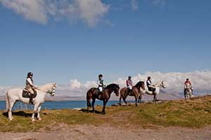 Wicklow Equi Tours, Glenealy, Wicklow