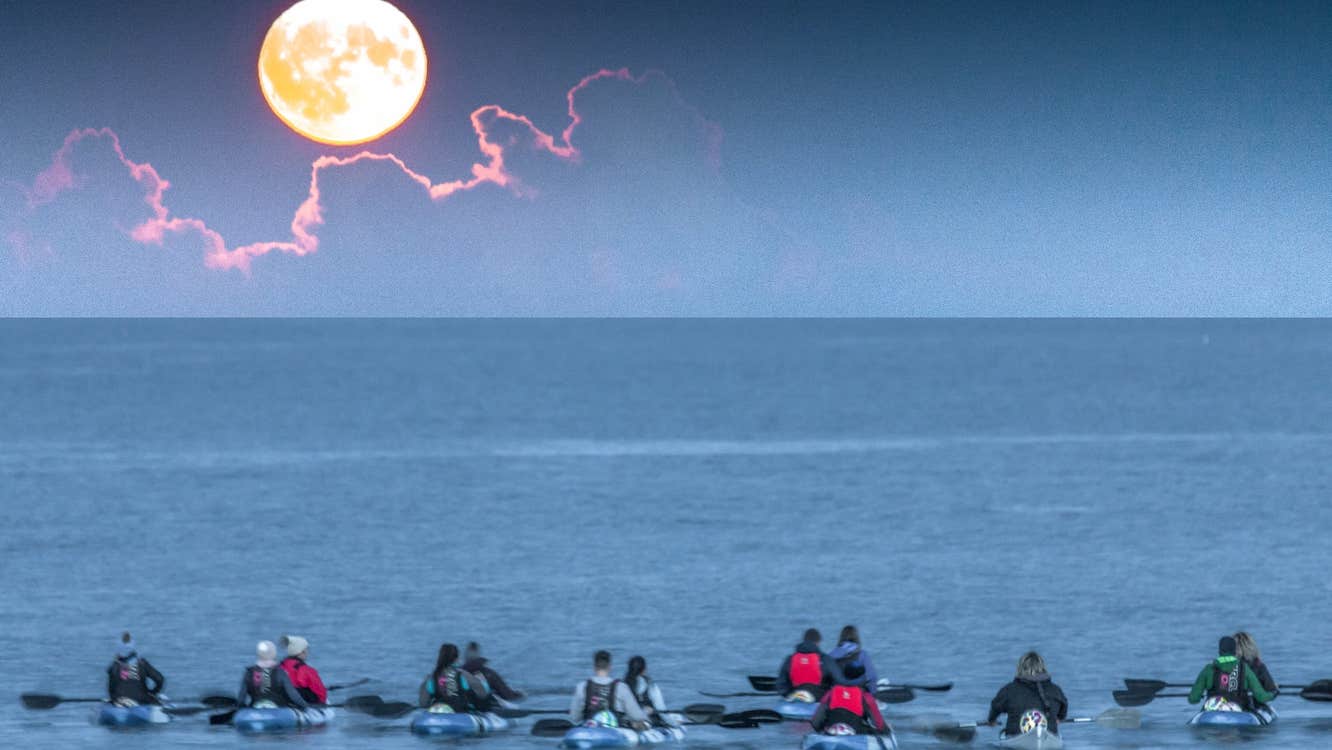 A group of kayakers out on the water off Fountainstown Beach
