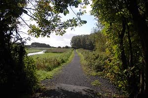 Pathway, Shannon Co. Clare