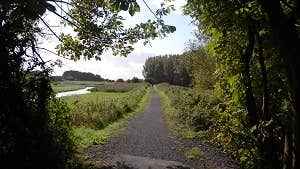 Pathway, Shannon Co. Clare