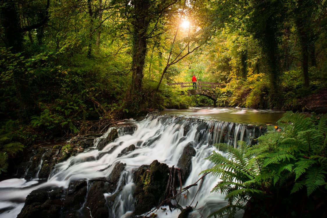 Image of Dun na Ri Forest Park in County Cavan