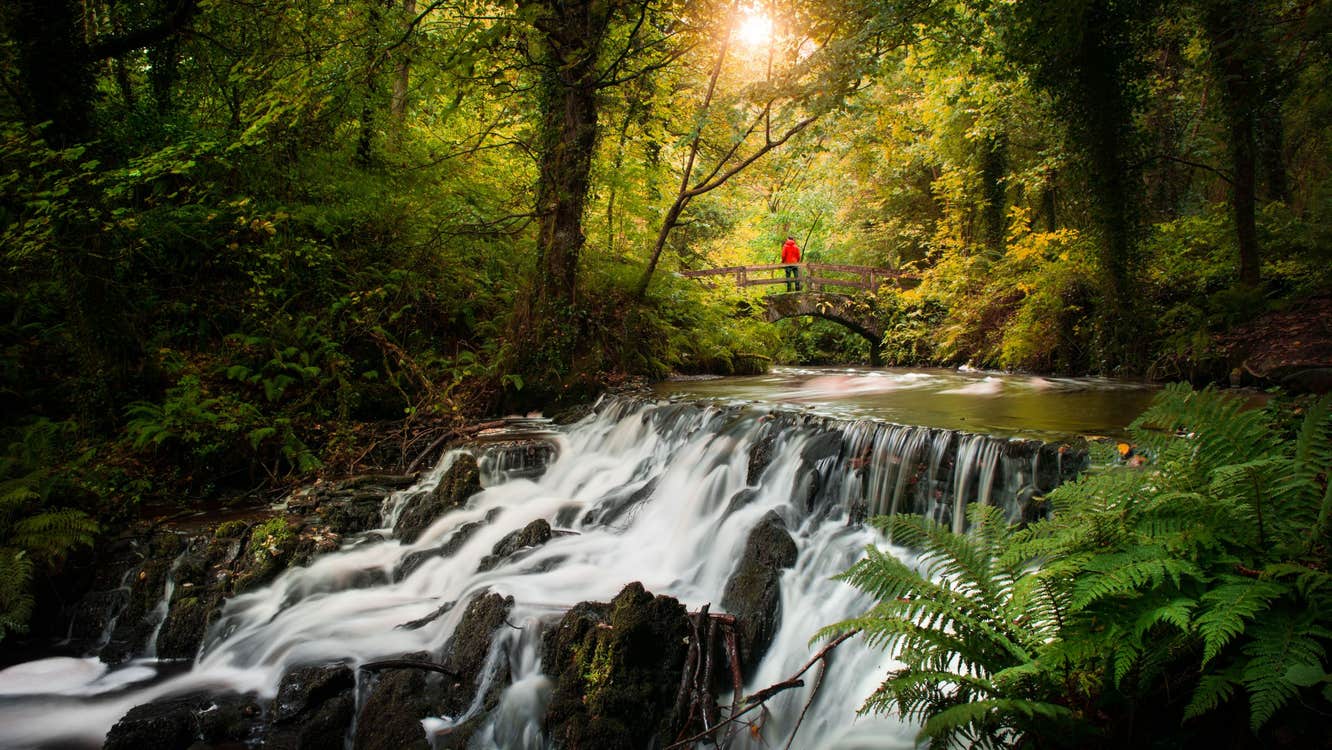 Image of Dun na Ri Forest Park in County Cavan