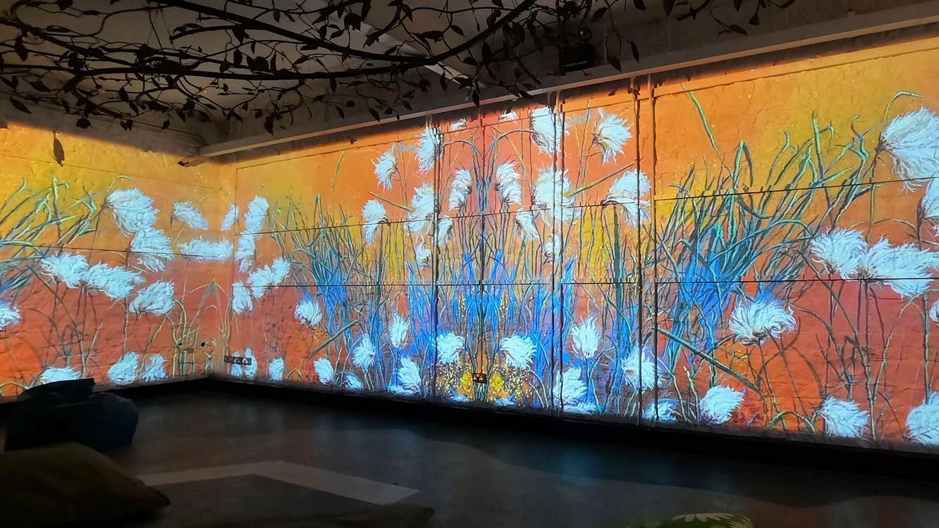 In a large dark room, colourful images of grasses and plants are projected around all the walls.