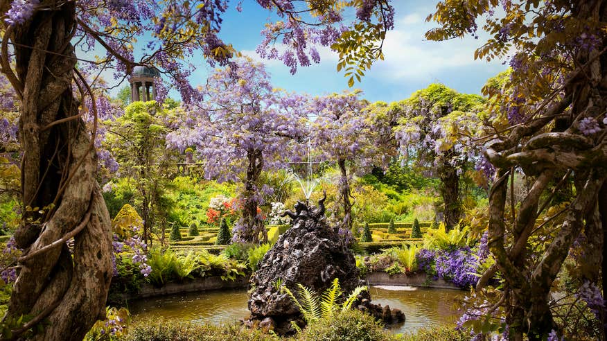 Bantry House and Gardens in Co Cork