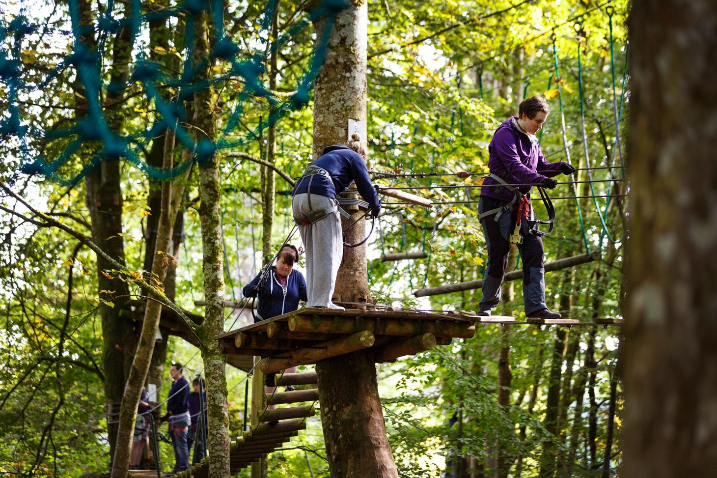Whizz through the sky in Lough Key Forest Park.